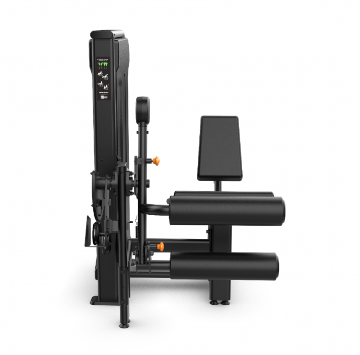 Extensora-flexora-Axis-2.png