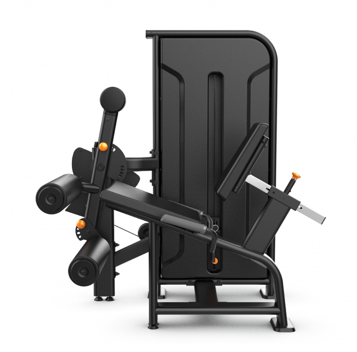 Extensora-flexora-Axis-4.png